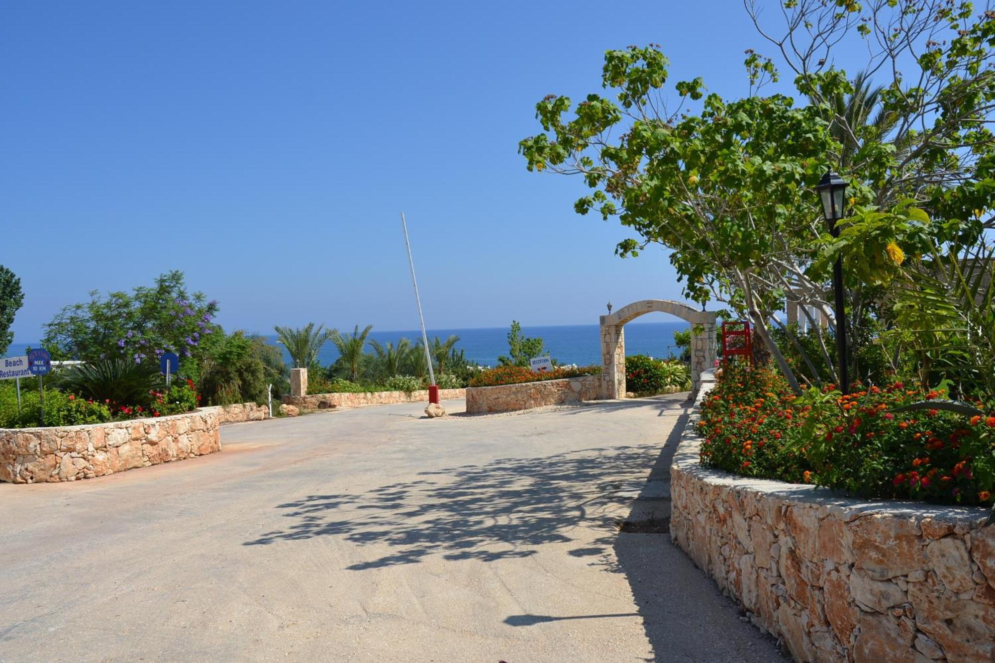 Aphrodite Beach Hotel Polis Exterior foto
