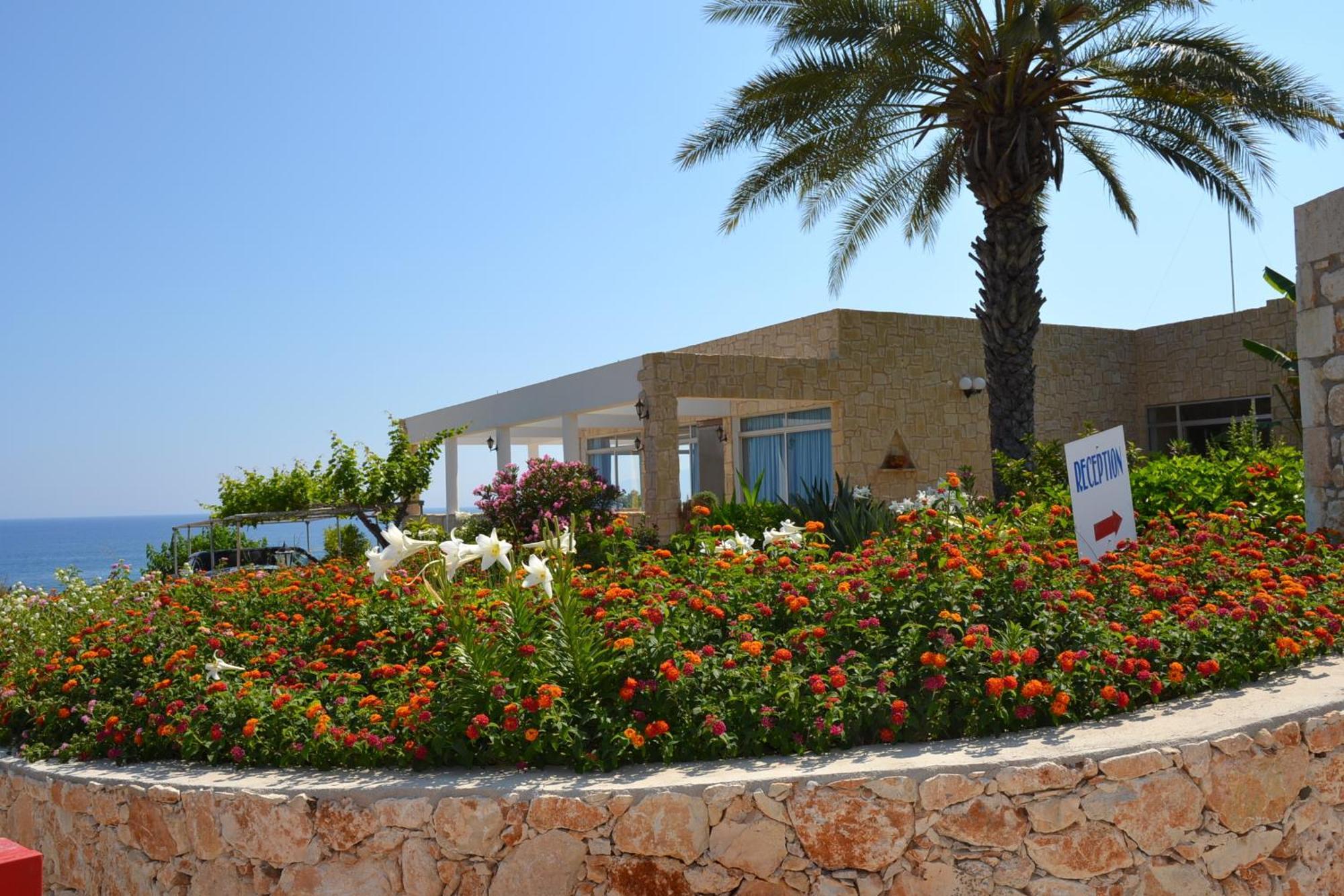 Aphrodite Beach Hotel Polis Exterior foto