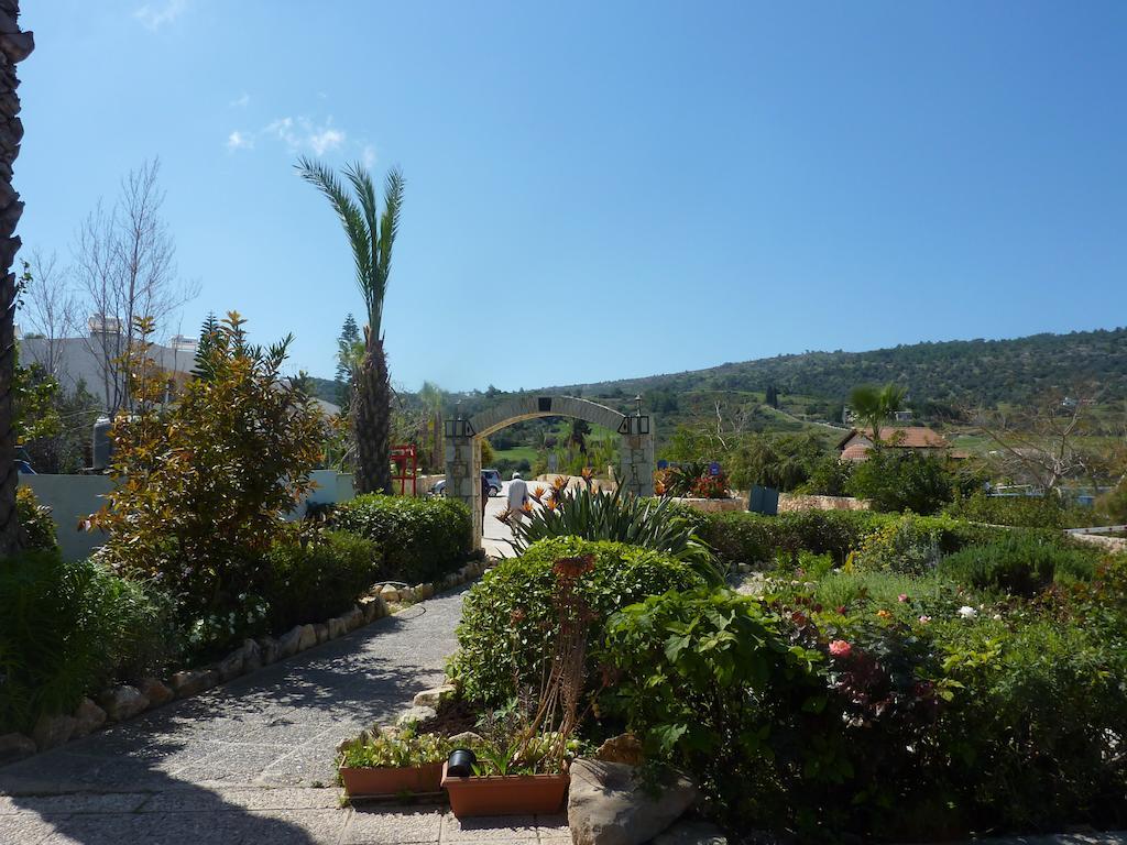 Aphrodite Beach Hotel Polis Exterior foto